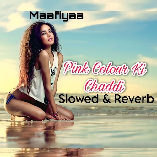 Pink Colour Ki Chaddi (Slowed & Reverb)
