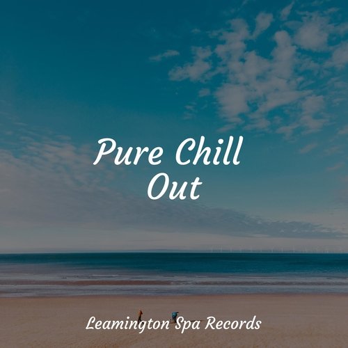 Pure Chill Out