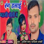 Rang Dalai Bhauji Choli Me