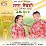 Saag Tod Di