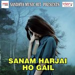 Sanam Harjai Ho Gail