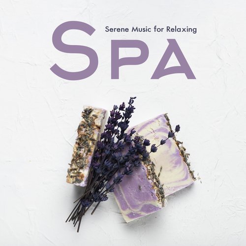 Wellness Clinic cover art