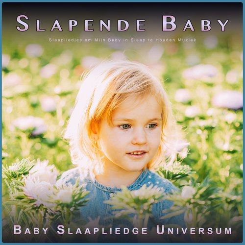Baby Slaapmuziek cover art