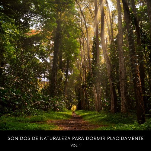 Sonidos De Tormentas cover art