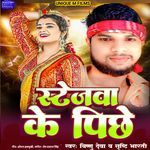 Stejwa Ke Pichhe
