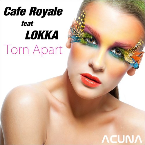 Torn Apart (Chill Out Mixes)_poster_image