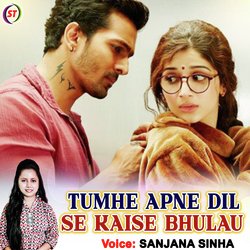 Tumhe Apne Dil Se Kaise Bhulau (Hindi)-LxpcXSVFeWk