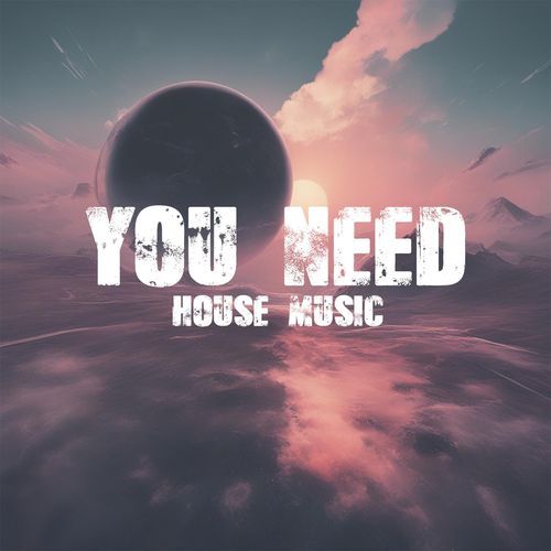 You Need House Music