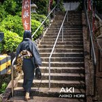 Kaze (Remix) artwork