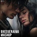 Bheege Naina Mashup