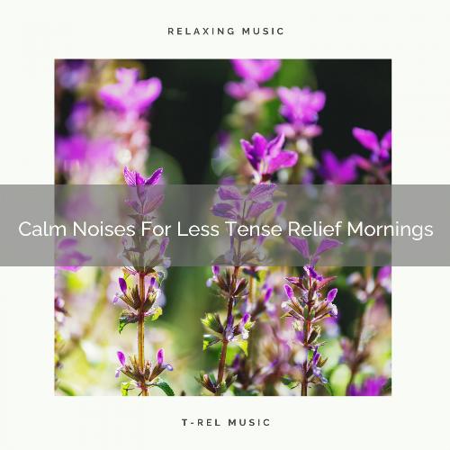 Calm Noises For Less Tense Relief Mornings