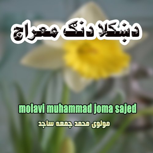 Bila Zakhmi Zra Bi Lamini