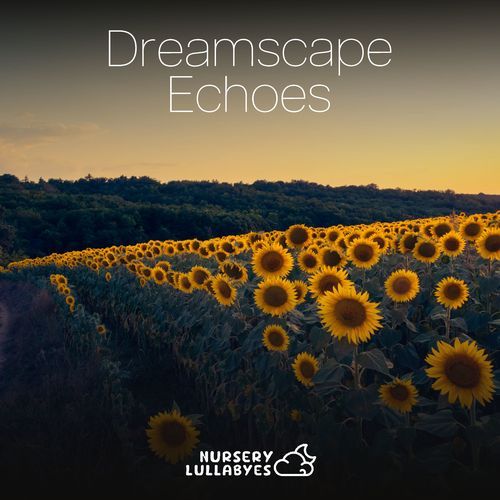 Dreamscape Echoes_poster_image