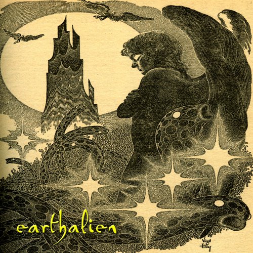 Robin Roar cover art
