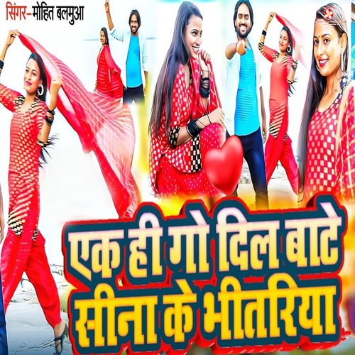 Ek Hi Go Dil Bate Sina Ke Bhitariya_poster_image