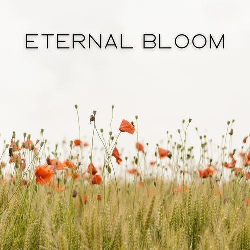 The Growth Within cover art