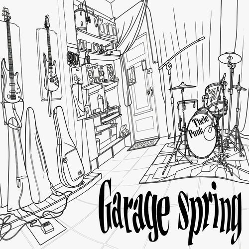 Garage spring