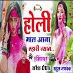 Holi Mal Aana Mhari Jayan