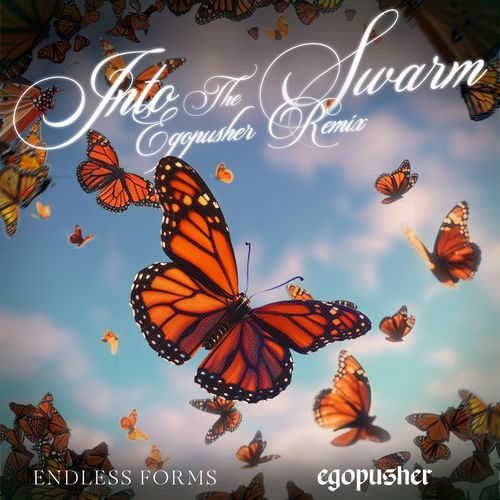 Into The Swarm (Egopusher Remix) cover art