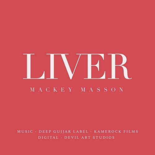 Liver