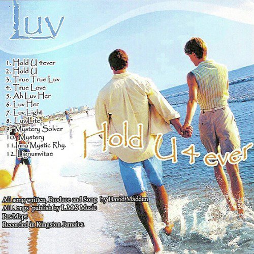 Luv Hold U 4 Ever_poster_image