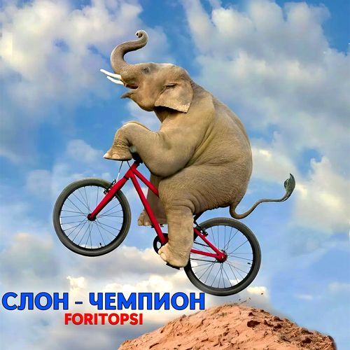 СЛОН - ЧЕМПИОН