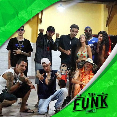 Mega The Funk, Vol. 2