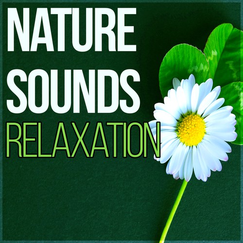 Instrumental Piano cover art