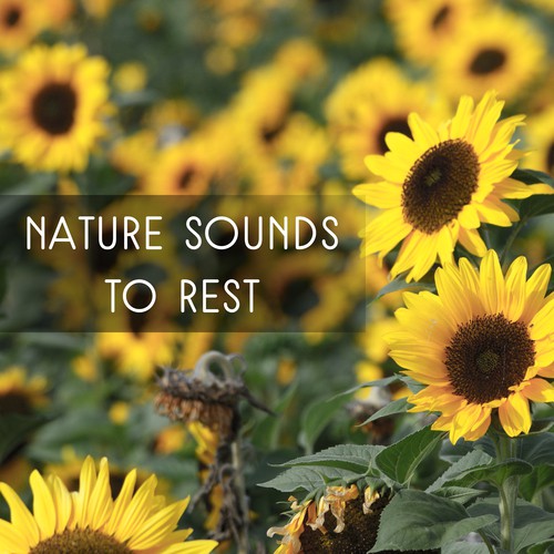 Nature Sounds to Rest – Easy Listening, New Age Relaxation, Music to Calm Mind, Peaceful Waves, Harmony Spirit
