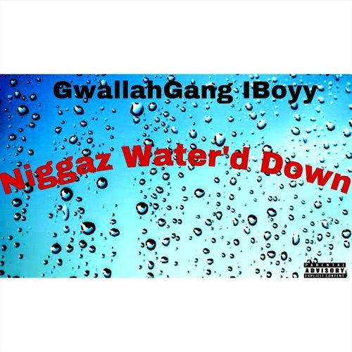 Niggaz Water'd Down cover art