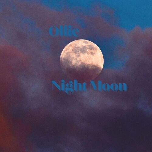 Night Moon_poster_image