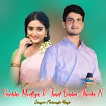 Pachho Modlya R Jind Baba Ghoda N artwork