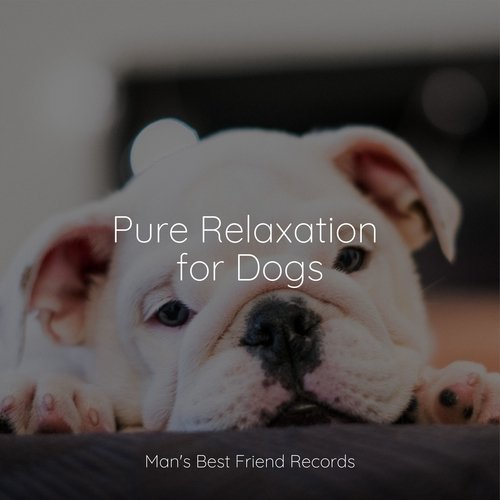 Sleepy Head cover art