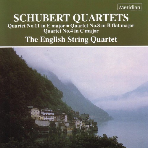 Quartet No. 4 In C Major, D46: Menuetto - Allegro