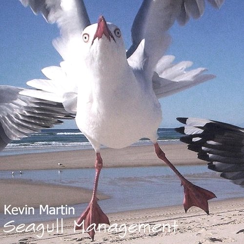 Seagull Management