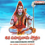 Shinashtottara Sathanamavali