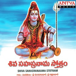 Shiva Sahasranama Stotram-BEVbCANmVkc