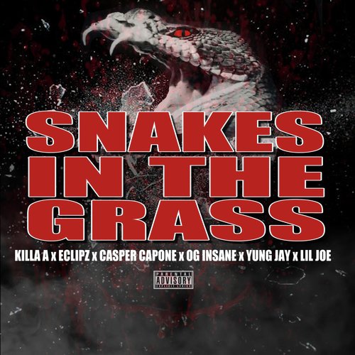 Snake in the Grass (feat. Eclipz, OG Insane, Lil Joe & Yung Jay)_poster_image