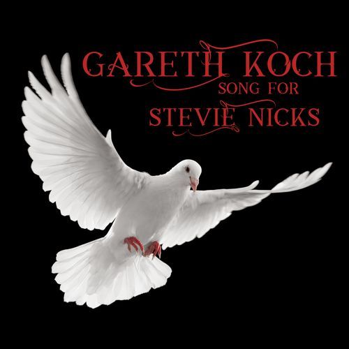 Song for Stevie Nicks