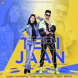 Teri Jaan-HjcdRgVSUgM