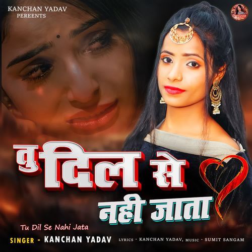 Tu Dil Se Nahi Jata