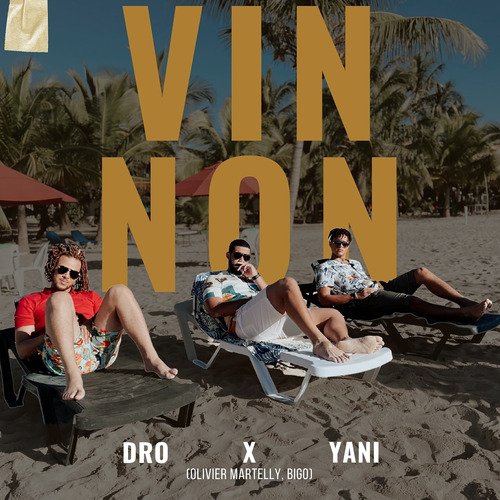 Vin Non_poster_image