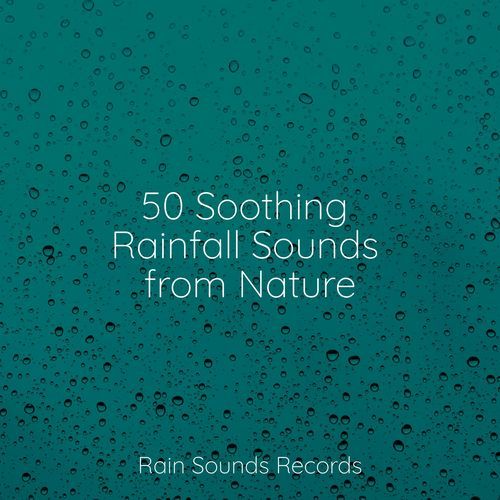 50 Soothing Rainfall Sounds from Nature