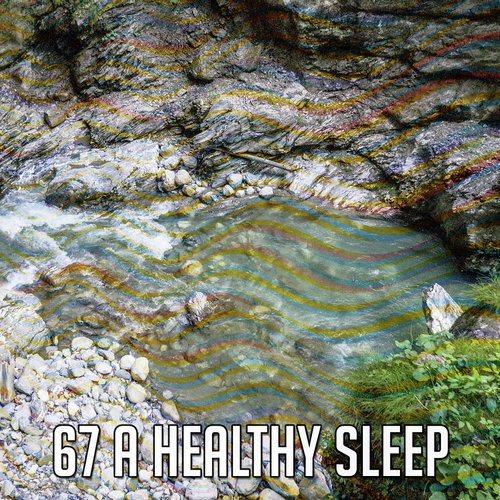 67 A Healthy Sleep_poster_image