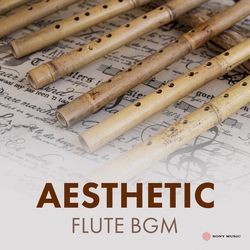 Aesthetic Flute BGM