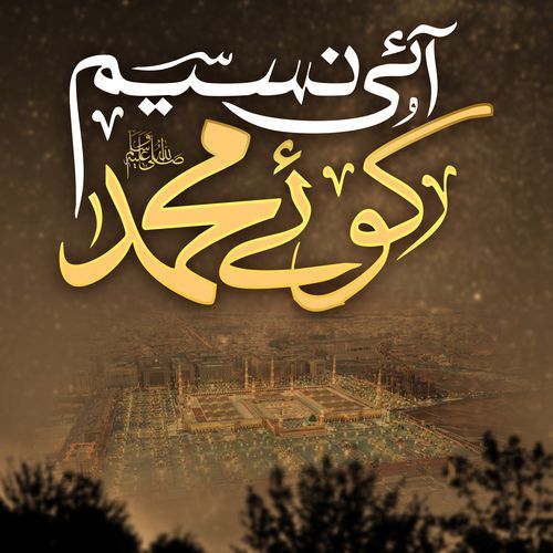 Ali Warga Zamany Tay