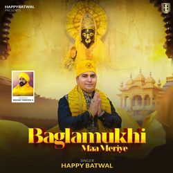 Baglamukhi Maa Meriye