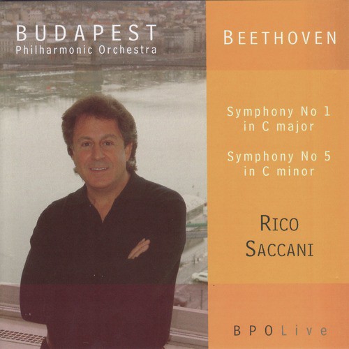 Symphony No. 1 in C Major, Op. 21: Symphony No. 1: IV. Adagio - Allegro molto e vivace