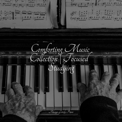 Comforting Music Collection | Focused Studying_poster_image