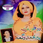 Che Naran Pa Khazo Shemar De (Tappay)